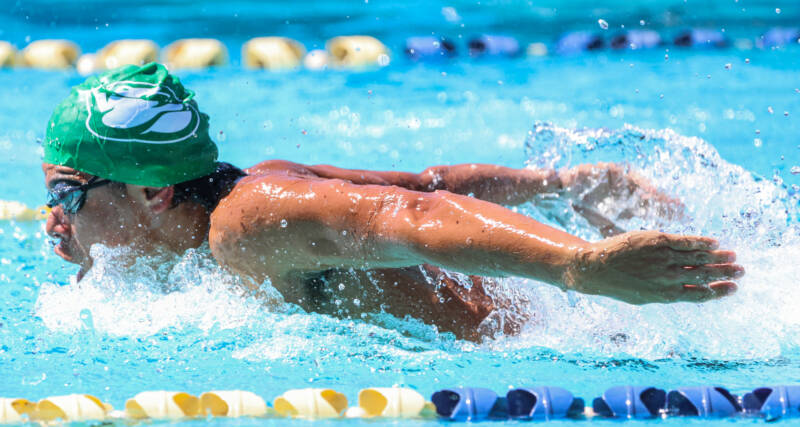 Tarzanes de UPR y Delfinas de USC imparables en Piscina Corta de la LAI