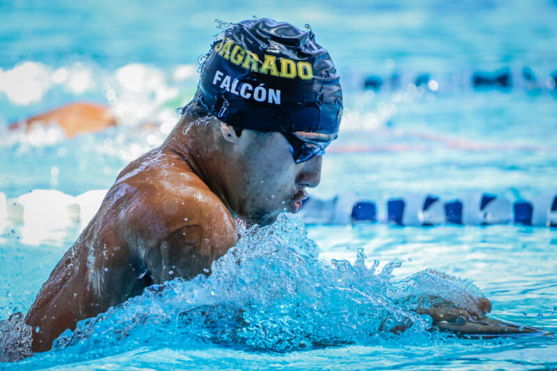 Las Delfinas y los Delfines de la USC quieren darle el campeonato global de piscina corta su alma mater como regalo por la celebración de los 145 años de fundación de la universidad. (LAI)