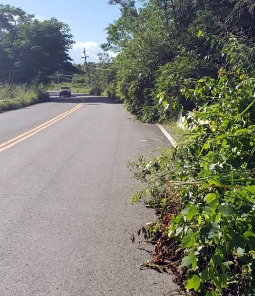 Alcalde de Cabo Rojo alega que el DTOP no contesta a su reclamo de reparar carreteras