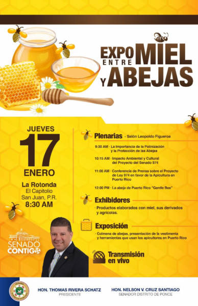 Se celebrará Expo sobre la Apicultura y la abeja de Puerto Rico