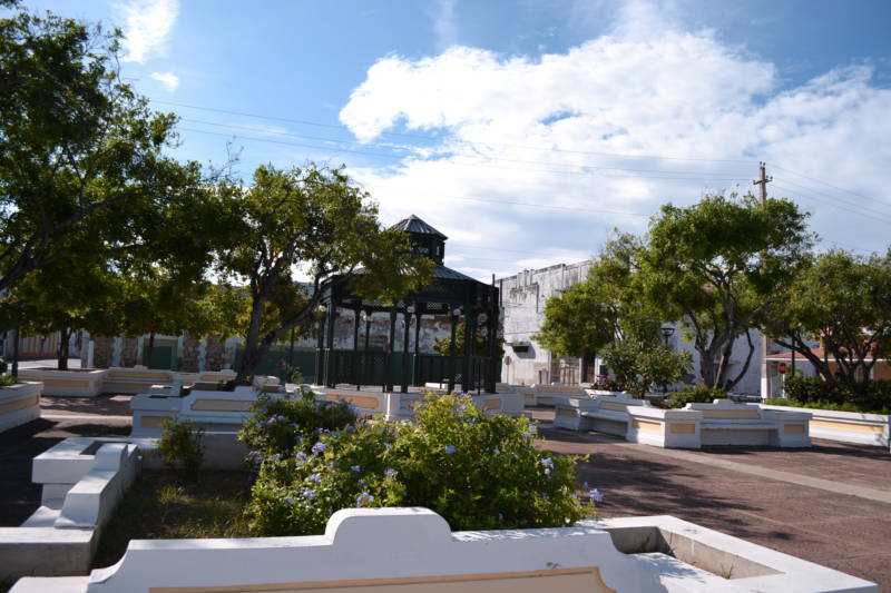 Comenzarán iniciativa de forestación y reciclaje en la Playa de Ponce