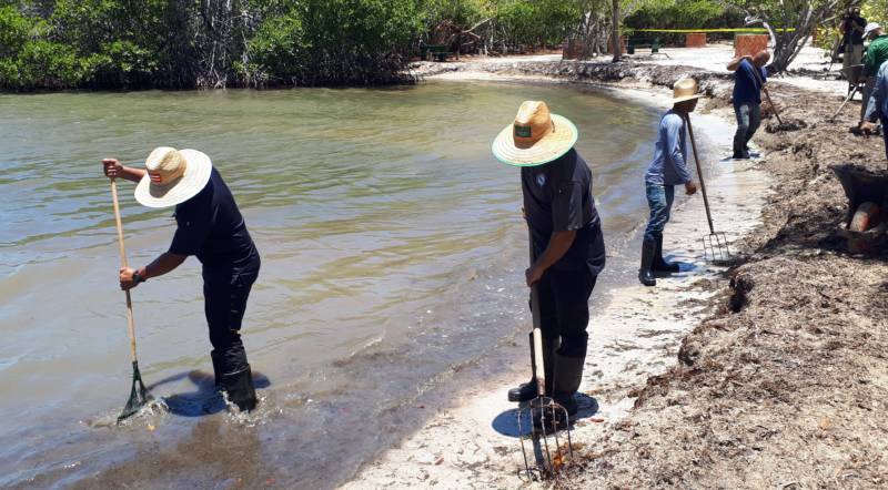 Cerrada Playita Rosada hasta culminar trabajos de limpieza