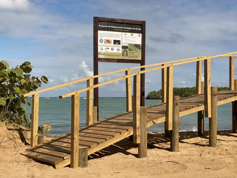 Proyecto de restauración de dunas en la Playa Vacía Talega
