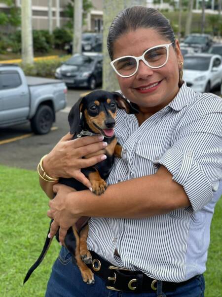 Feria de vacunación para perros y gatos en Carolina