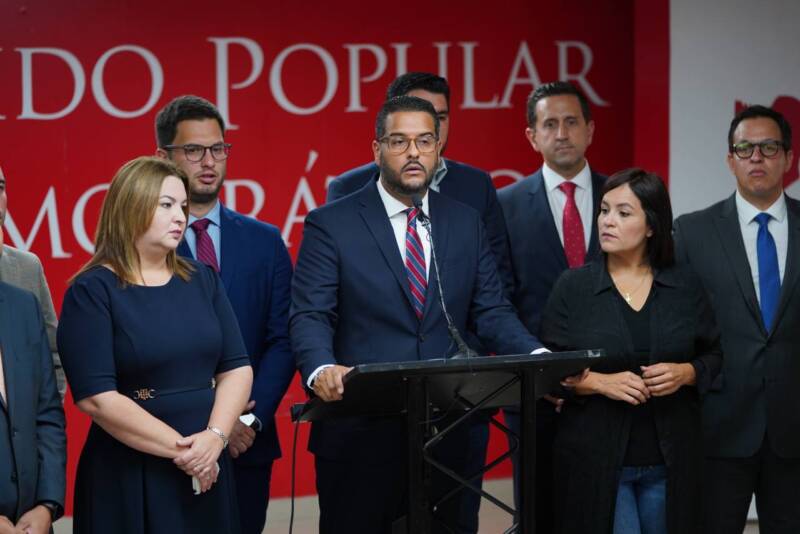 Enfocados en la reorganización del PPD