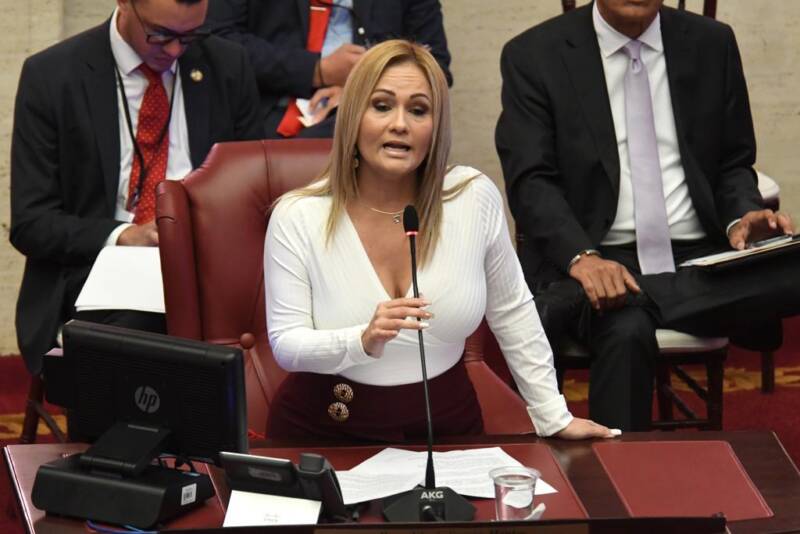 Senadora Ada García Montes