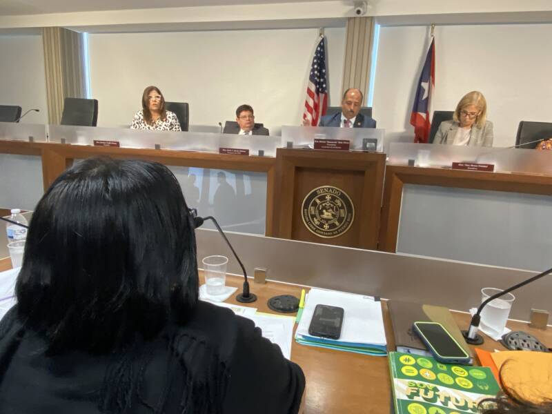 Dra. Raíces en el Senado