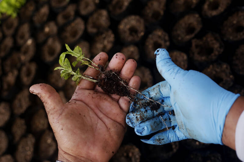 Para la Naturaleza celebra el evento Puerto Rico Conserva