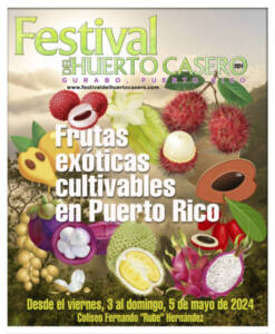 Festival Huerto Casero