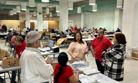 Comisionada Electoral PPD anuncia culminación de escrutinio en su partido