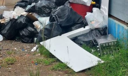 OSHA llega de sorpresa al Centro de Reciclaje de Arecibo