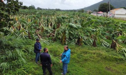 Secretario de Agricultura informa pérdidas tras el paso de Ernesto