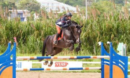 Concurrido concurso de saltos en el deporte ecuestre 