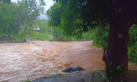 Peñuelas con inundaciones y sin servicio de energía eléctrica tras el paso de Ernesto