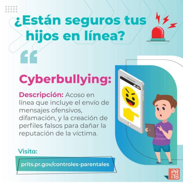 Cyberbulling