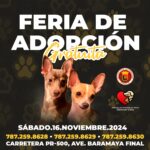 Alcaldesa de Ponce anuncia segunda feria gratuita de adopción de animales