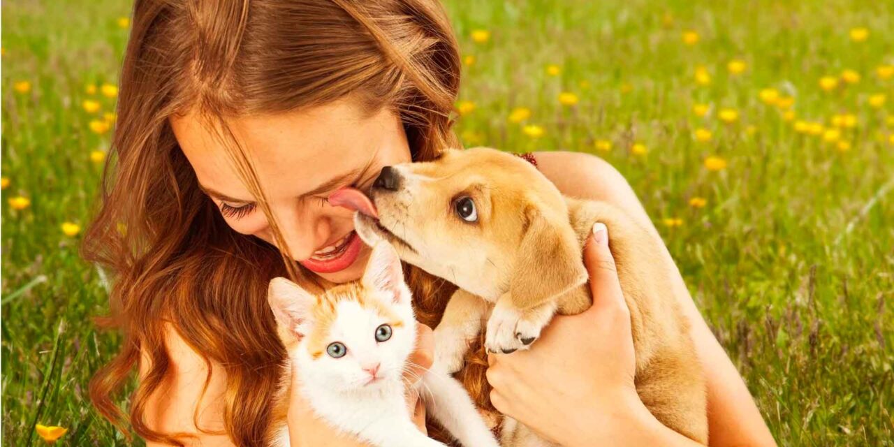 Humanos, animales y el ambiente en Una Salud