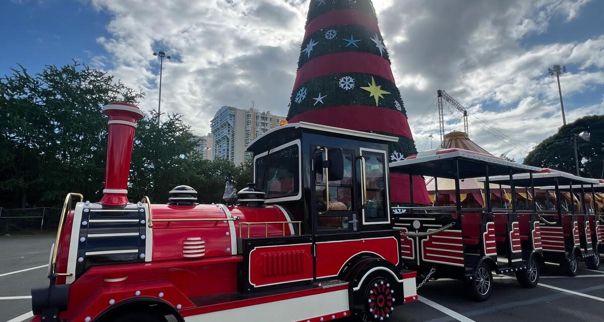 ESTE FIN DE SEMANA SE ENCIENDE LA NAVIDAD  CON LA FERIA THE PARK