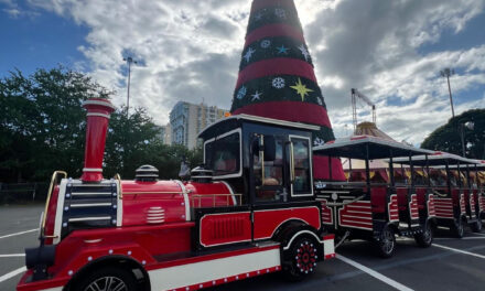 ESTE FIN DE SEMANA SE ENCIENDE LA NAVIDAD  CON LA FERIA THE PARK