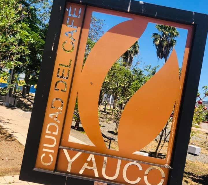 Municipio de Yauco invita a celebrar “Navidad en el Cafetal”