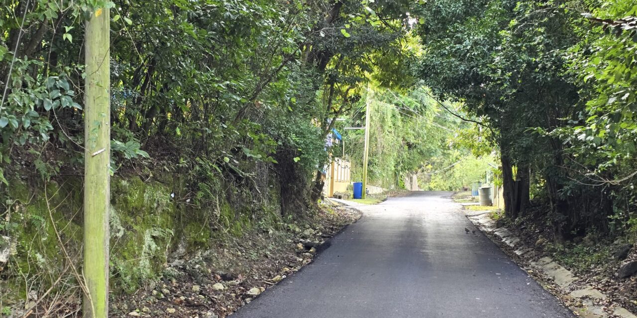 Finalizan con éxito los trabajos de asfalto en Sector Cotuí de Guayanilla