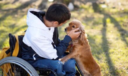 Mascotas como terapia para bienestar físico y emocional