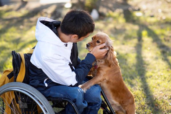 Mascotas como terapia para bienestar físico y emocional