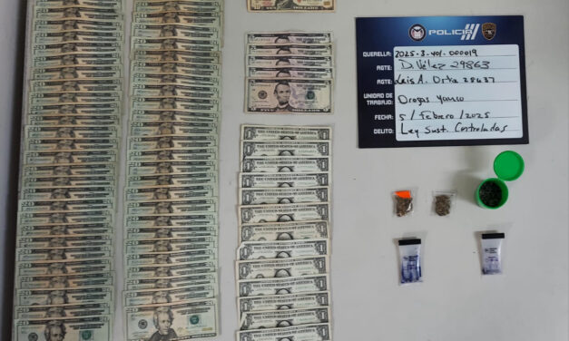 Arrestos en Guayanilla, Guánica y Santa Isabel en Operativos Contra el Tráfico de Drogas y Violaciones a la Ley de Armas