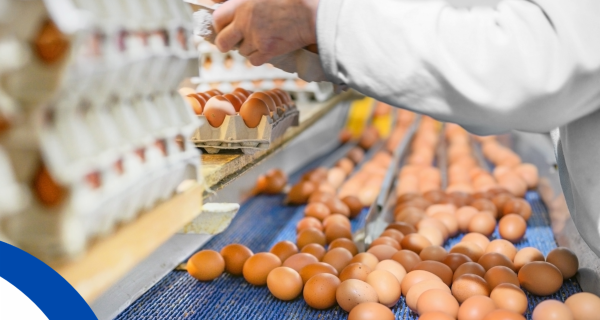 Programa de capacitación para manufactura de alimentos, agricultores y emprendedores libre de costo