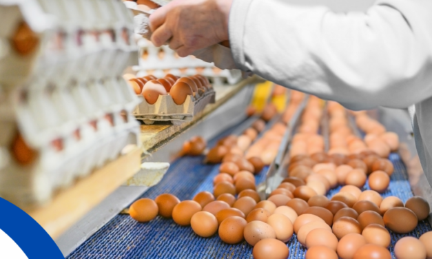 Programa de capacitación para manufactura de alimentos, agricultores y emprendedores  libre de costo