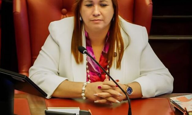 Senadora radica resolución para investigar cierre de oficinas de LUMA en pueblos del Oeste