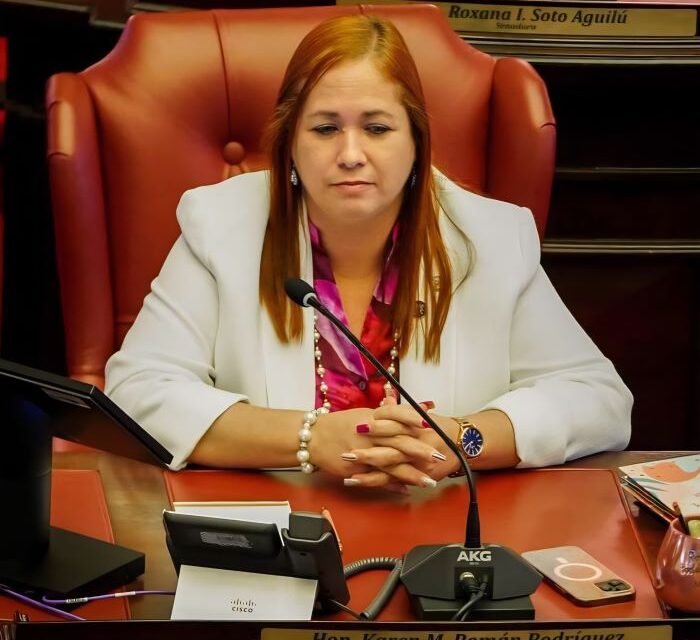 Senadora radica resolución para investigar cierre de oficinas de LUMA en pueblos del Oeste