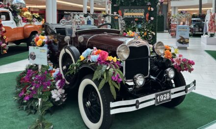 Plaza Del Caribe celebra a mamá con arte, moda, música y experiencias inolvidables