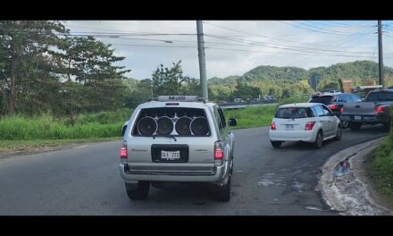 DRNA prohíbe voceteo y refuerza vigilancia en playas