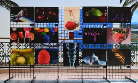 La exposición fotográfica Q-ARENTENA llega a Plaza Del Caribe