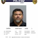 Hombre dispara y hiere a perros callejeros tras ataque a sus gatos en Guánica