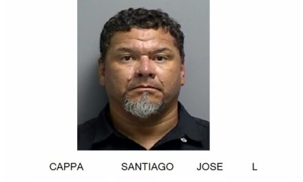 Hombre dispara y hiere a perros callejeros tras ataque a sus gatos en Guánica