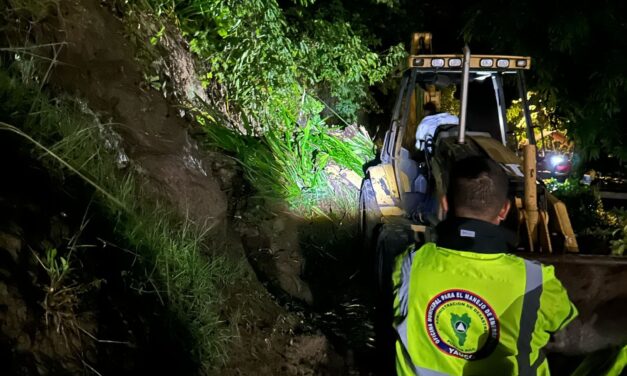 Yauco atiende situación tras fuertes lluvias con trabajos de limpieza y recogido de material vegetativo