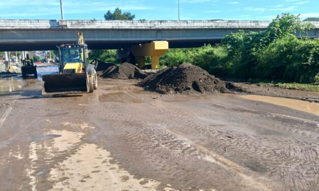 Yauco atiende situación tras fuertes lluvias con trabajos de limpieza y recogido de material vegetativo