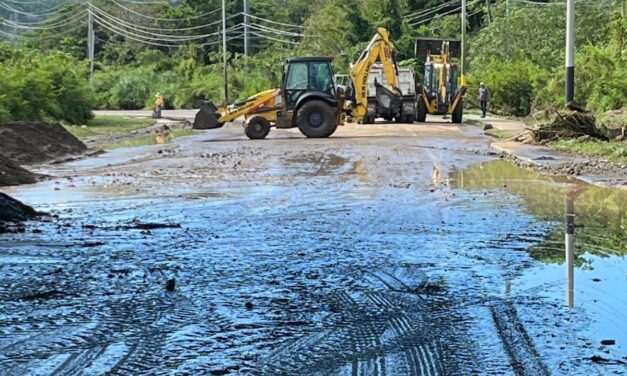 Yauco atiende situación tras fuertes lluvias con trabajos de limpieza y recogido de material vegetativo