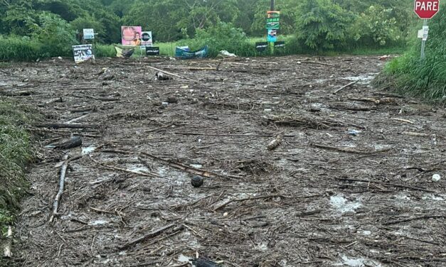 Yauco atiende situación tras fuertes lluvias con trabajos de limpieza y recogido de material vegetativo