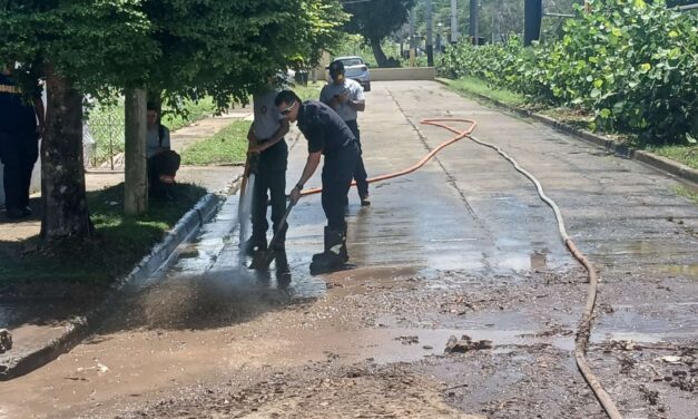 Yauco atiende situación tras fuertes lluvias con trabajos de limpieza y recogido de material vegetativo