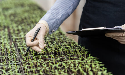 Nueva escuela pública especializada en Ciencias Agrícolas abre sus puertas en Mayagüez
