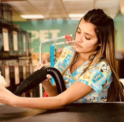 Reformas sociales y penales aprobadas