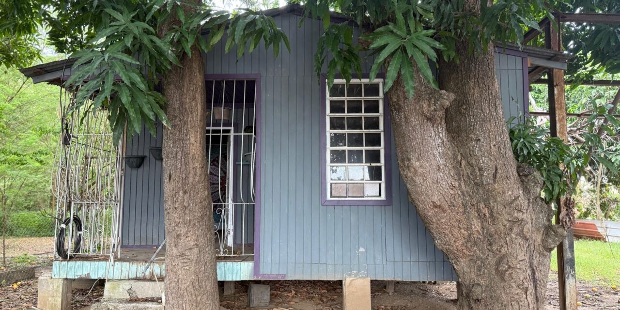 Guayanilla Dará Vida a la Casa Jíbara: Centro Cultural Marina Arzola Convoca a la Comunidad a Preservar la Historia