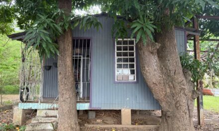 Guayanilla Dará Vida a la Casa Jíbara: Centro Cultural Marina Arzola Convoca a la Comunidad a Preservar la Historia