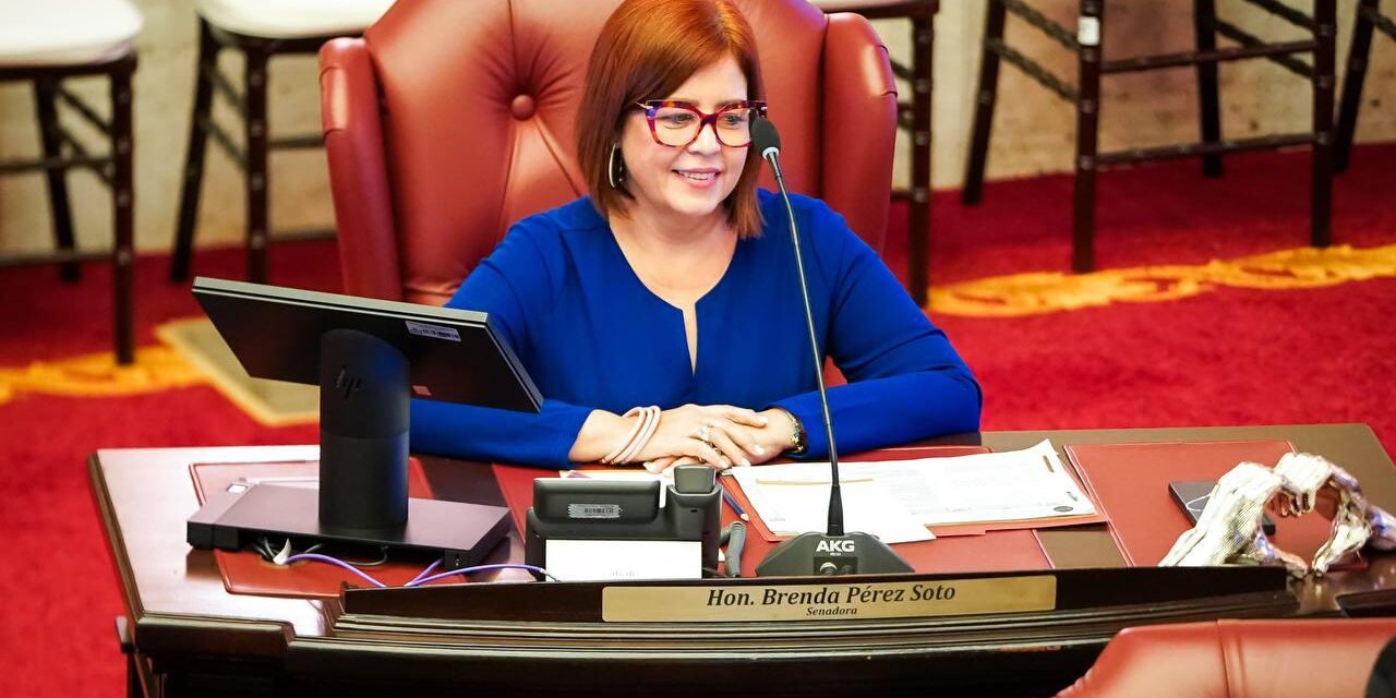 Senado aprueba por unanimidad el uso de inteligencia artificial en las escuelas públicas