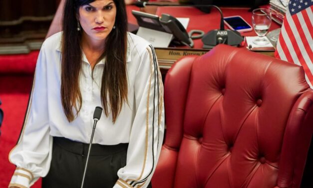 Rechazan medida para alumbrado en la PR-2; senadora Marially González Huertas responsabiliza al PNP