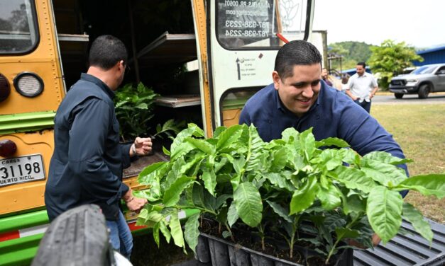 Sembrando Futuro: Agricultura y PR Coffee Roasters Inician Entrega de 150,000 Árboles de Café en Puerto Rico