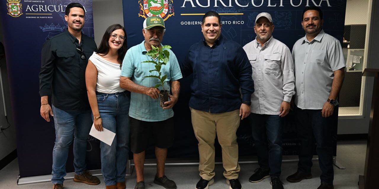 Sembrando Futuro: Agricultura y PR Coffee Roasters Inician Entrega de 150,000 Árboles de Café en Puerto Rico